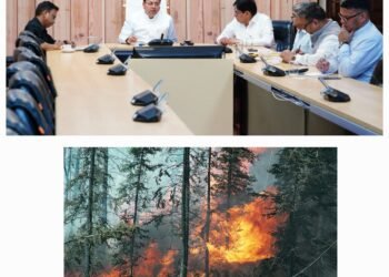 जिस क्षेत्र में भी वनाग्नि की घटनायें घटित होती हैं, उसके लिये सम्बंधित अधिकारी की जिम्मेदारी तय हो:धामी