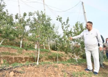 पिछले लंबे समय से बंद पड़े शोधकेन्द्र चौबटिया को पूर्वजीवित करने हेतु तत्काल प्रस्ताव प्रस्तुत करने को भी निर्देशित किया गया