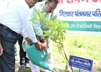 पंतनगर विश्वविद्यालय परिसर में एक पेड़ मां के नाम अभियान के अंतर्गत रुद्राक्ष के पौधे का रोपण करते कृषि मंत्री गणेश जोशी