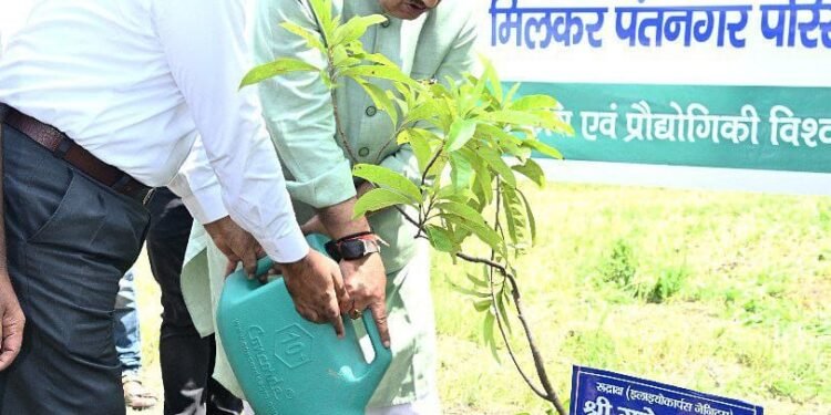 पंतनगर विश्वविद्यालय परिसर में एक पेड़ मां के नाम अभियान के अंतर्गत रुद्राक्ष के पौधे का रोपण करते कृषि मंत्री गणेश जोशी