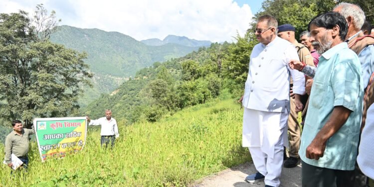 मड़वे की फसल देखने खेतों में पहुँचे कृषि मंत्री गणेश जोशी