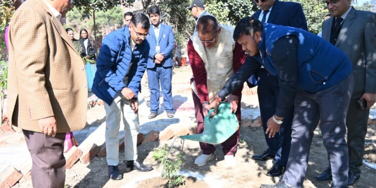 कृषि मंत्री गणेश जोशी ने तुलसी के पौधे का रोपण किया।