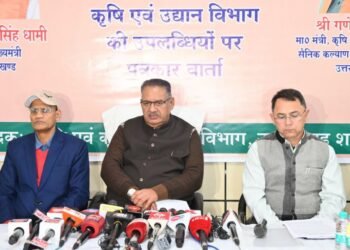 पिछले वर्ष हमने 2 लाख सेब के पौधे लगाए थे जबकि इस वर्ष 12 लाख के करीब पौधे लगाए है।   