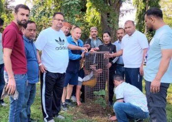 विश्व पर्यावरण दिवस पर मंत्री गणेश जोशी ने आम, अनार व रुद्राक्ष के पौधे लगाए, मां को समर्पित किया भावनात्मक जुड़ाव का प्रतीक