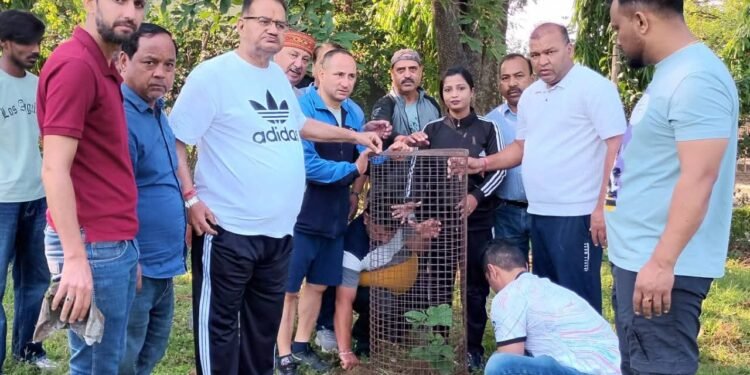 विश्व पर्यावरण दिवस पर मंत्री गणेश जोशी ने आम, अनार व रुद्राक्ष के पौधे लगाए, मां को समर्पित किया भावनात्मक जुड़ाव का प्रतीक