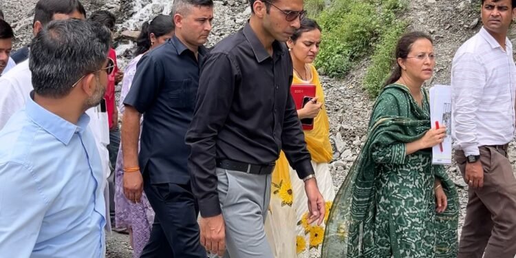 सीएचसी भवन निर्माण के लिए लोक निर्माण विभाग को भूमि सीमांकन और आंगणन शीघ्र उपलब्ध कराने के निर्देश